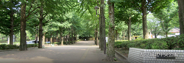 都立城北中央公園