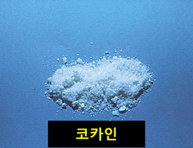 코카인